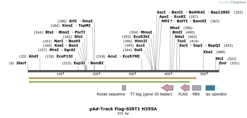17057_map