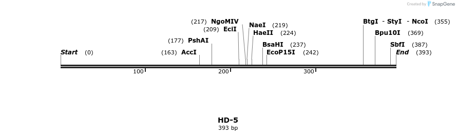 170574_map