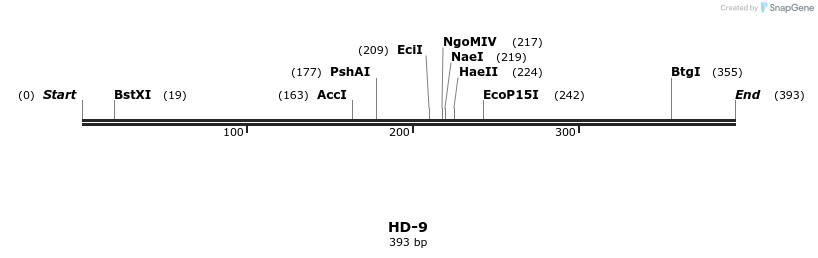 170582_map