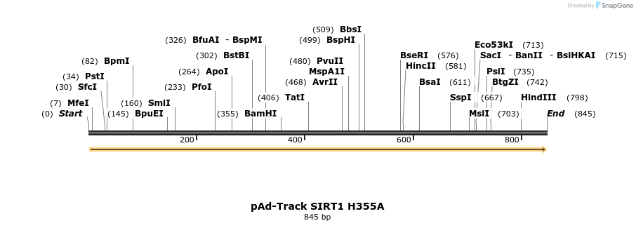 17059_map