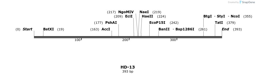 170590_map