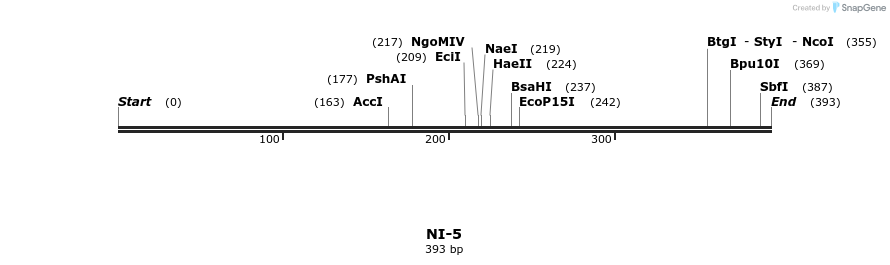 170606_map