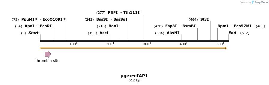 17061_map