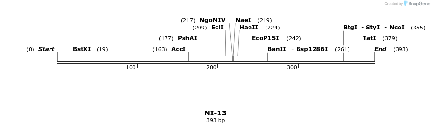 170622_map