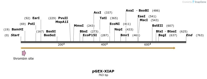 17063_map