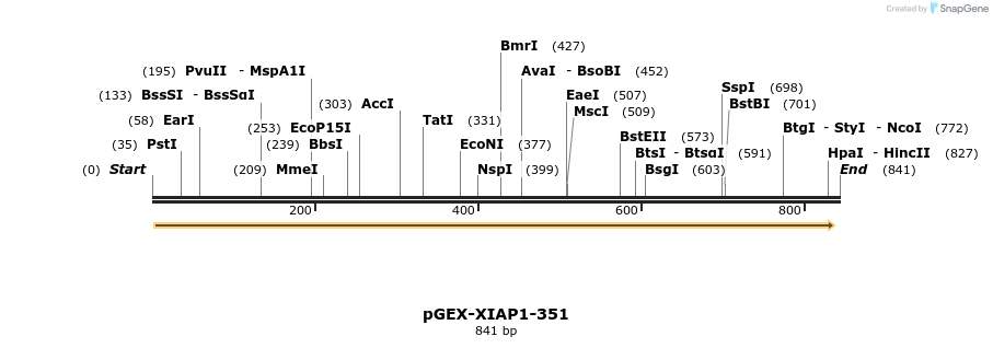 17065_map