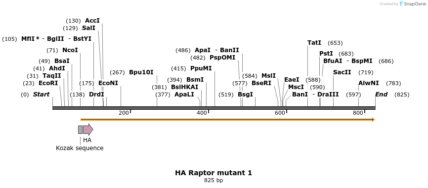 17066_map