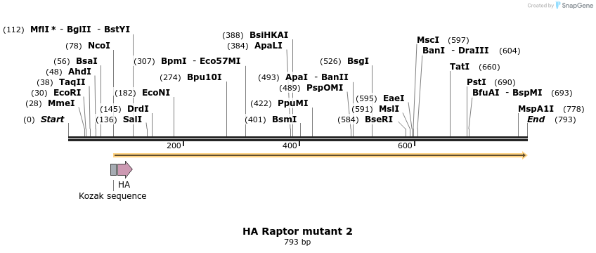 17067_map