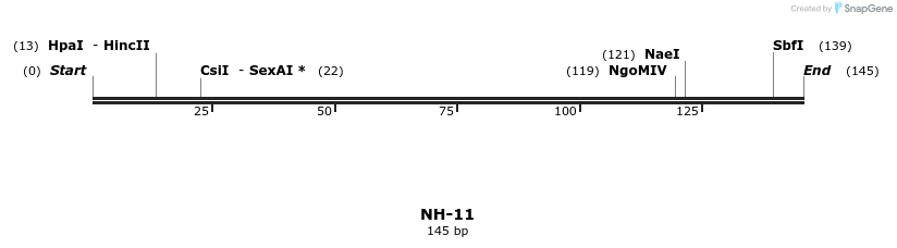 170682_map