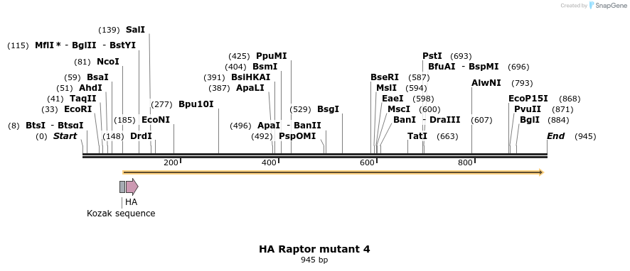 17069_map