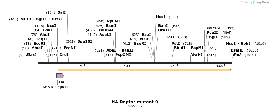 17071_map