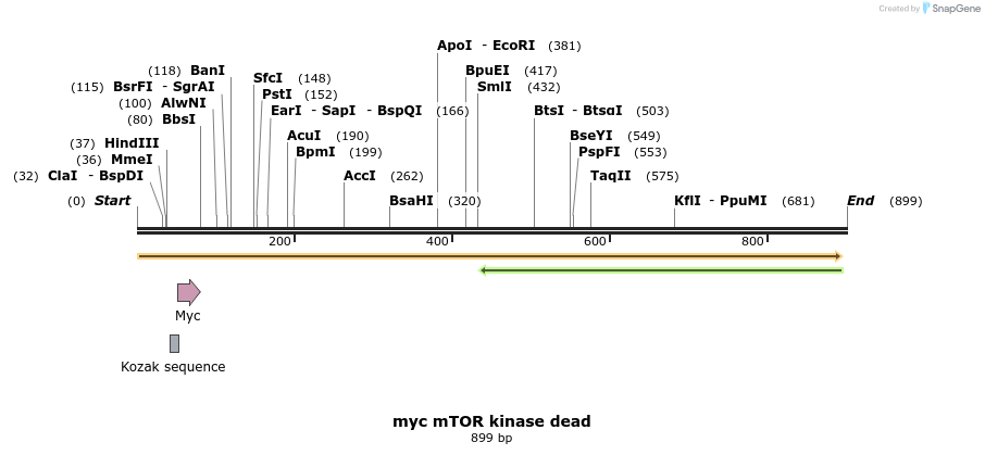 17072_map