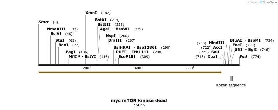 17073_map