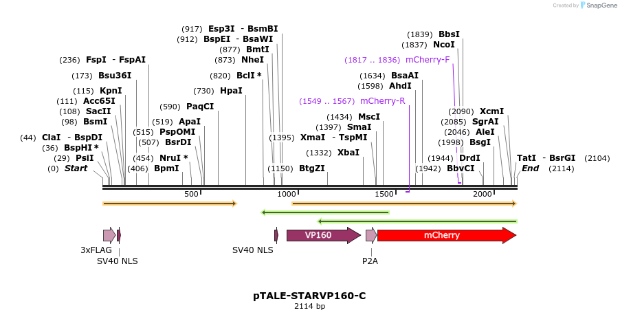 170736_map