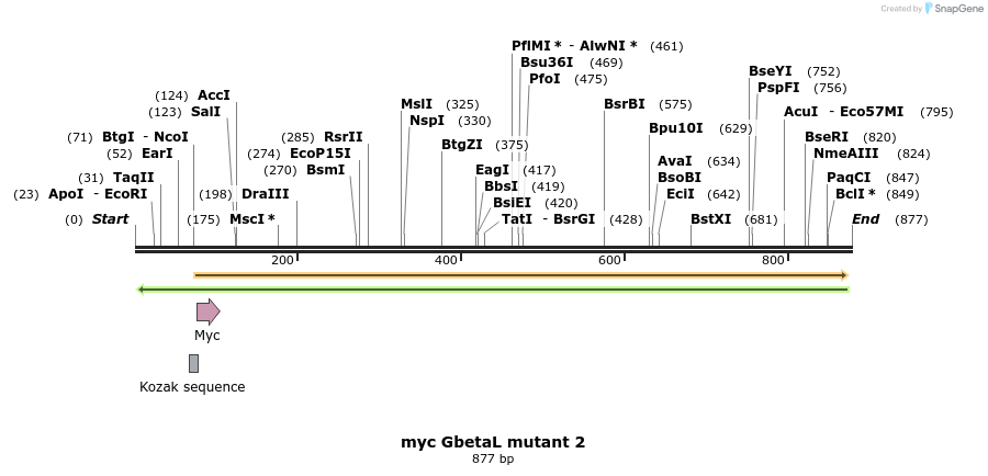 17074_map