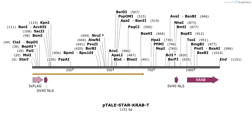170742_map