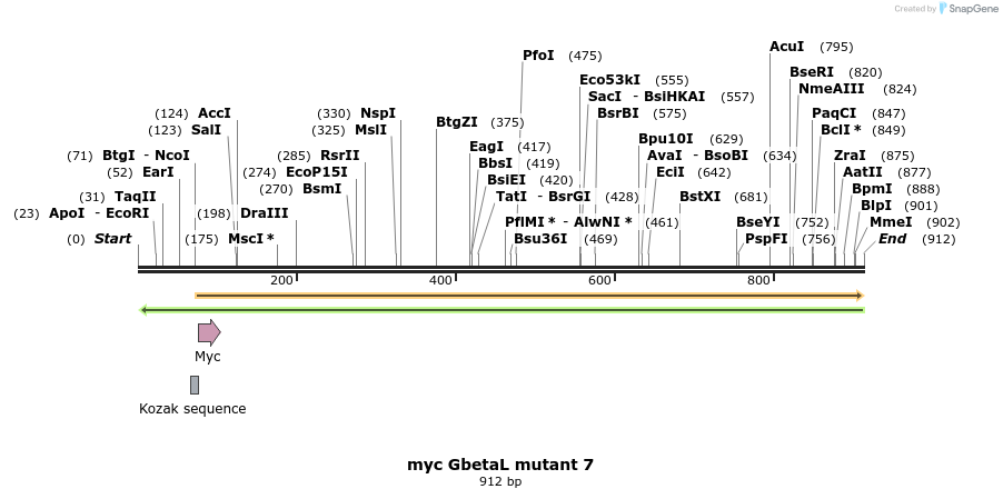 17076_map