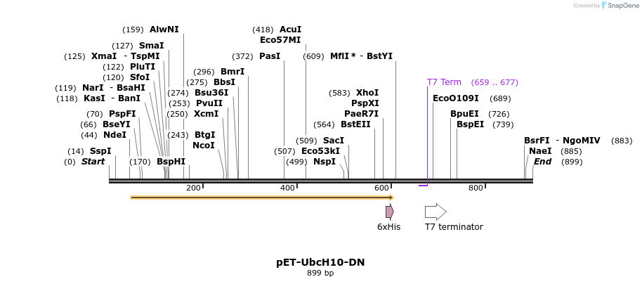 17078_map