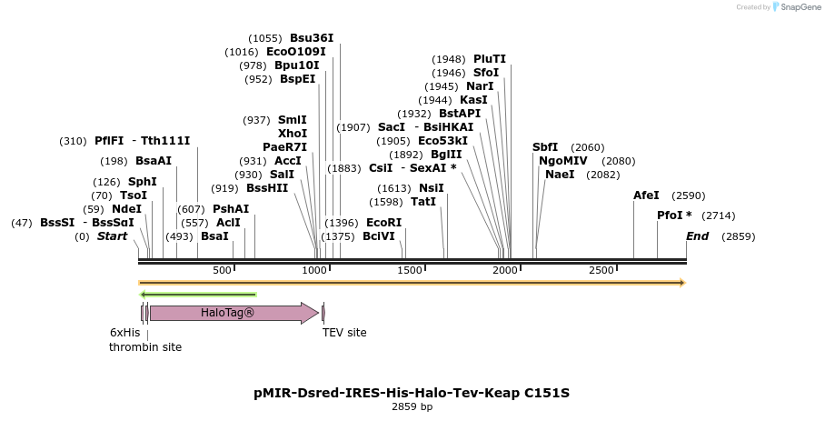 170788_map