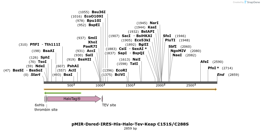 170790_map