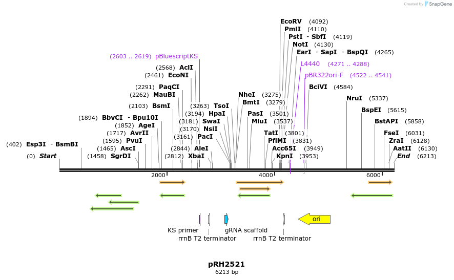 170791_map