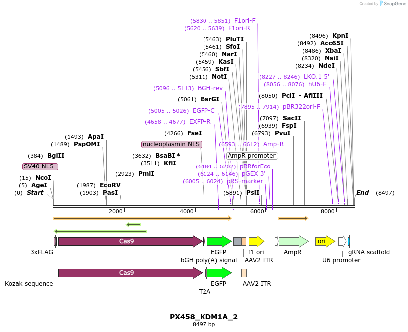 170805_map