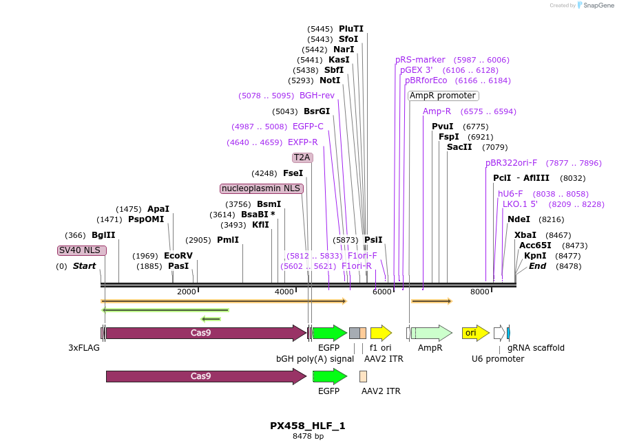 170808_map