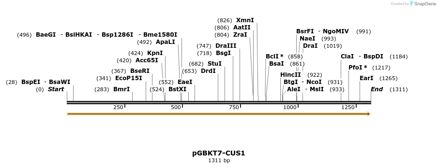 170815_map