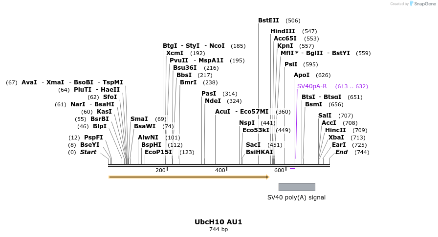 17082_map