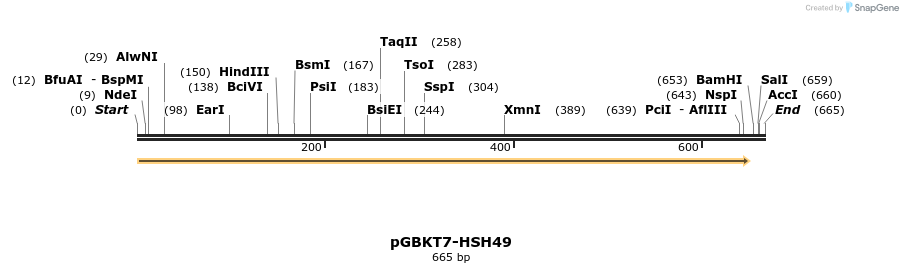 170824_map