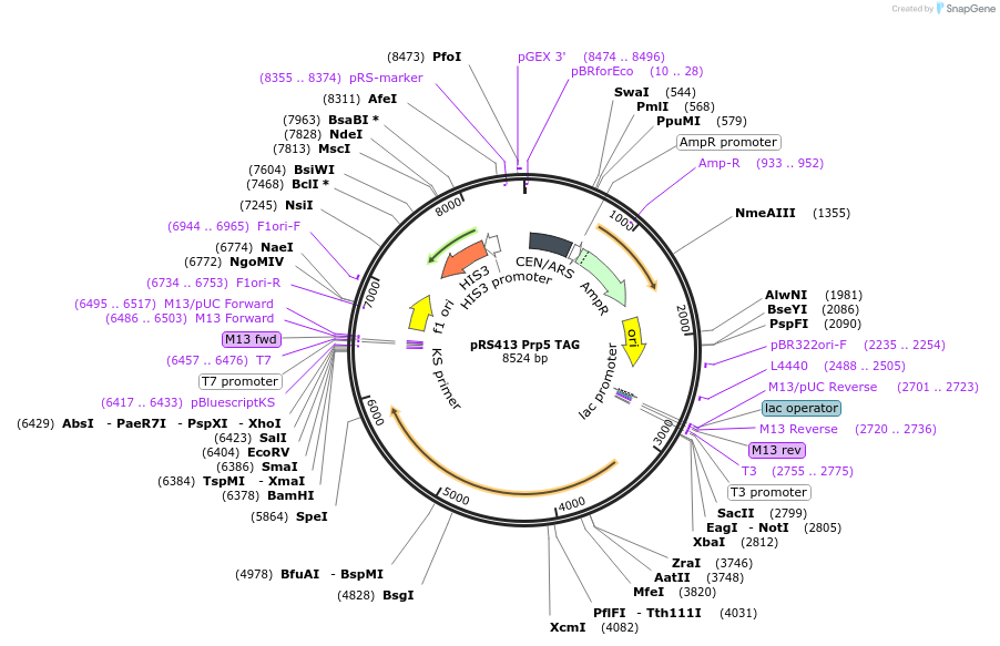 170838_map