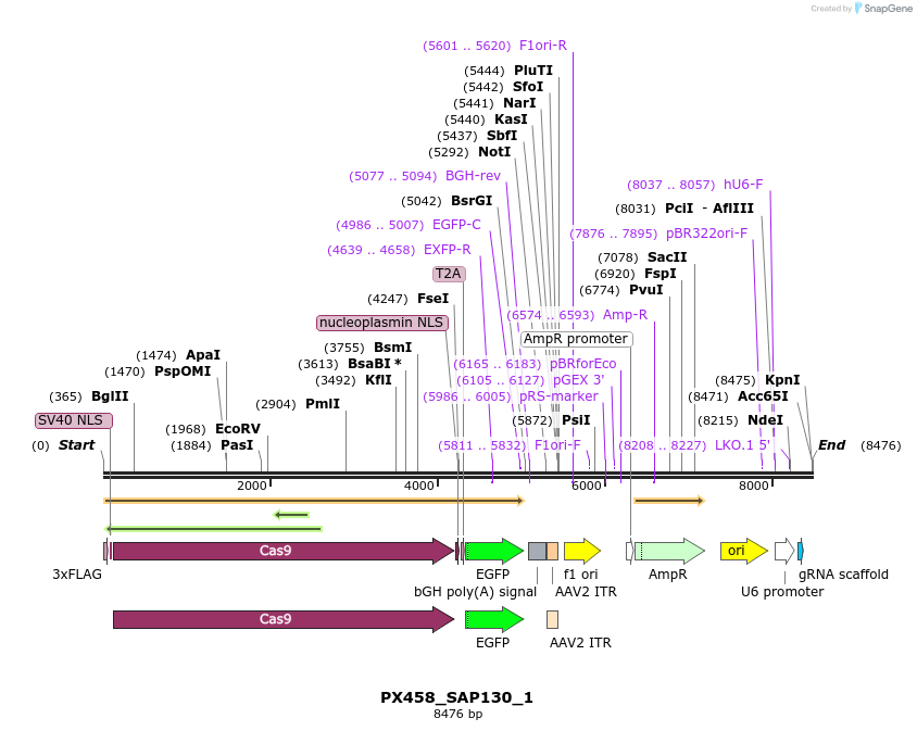 170844_map