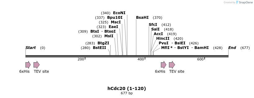 17085_map