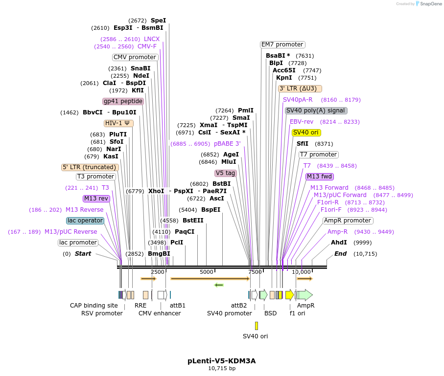 170857_map
