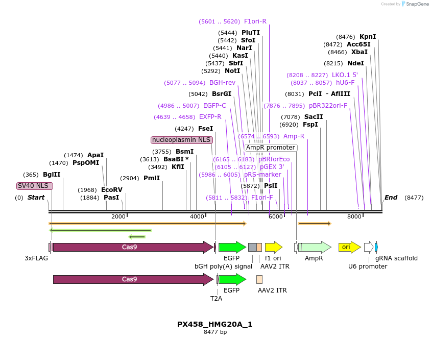 170858_map