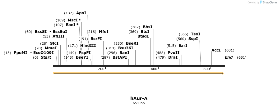 17086_map