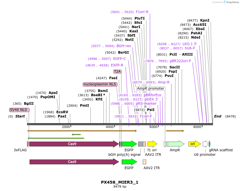 170862_map