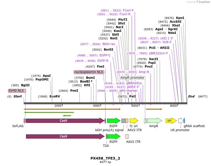 170864_map