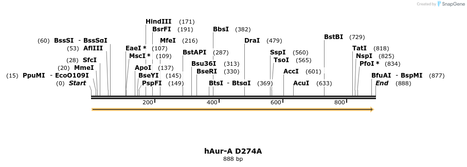17087_map