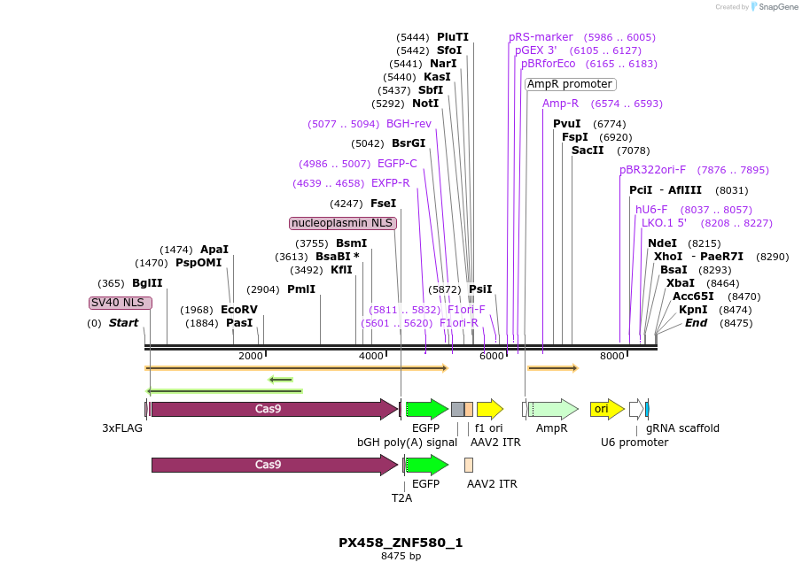 170870_map
