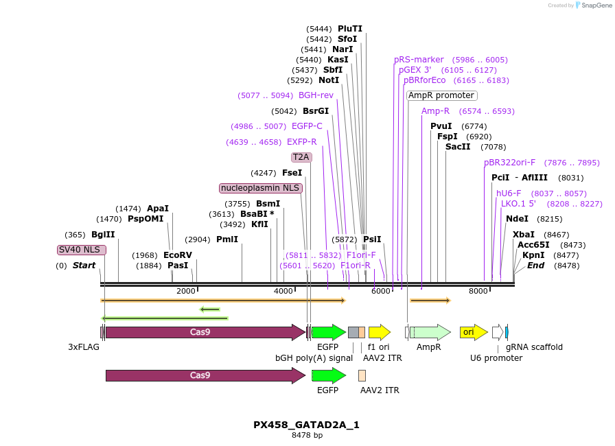 170873_map
