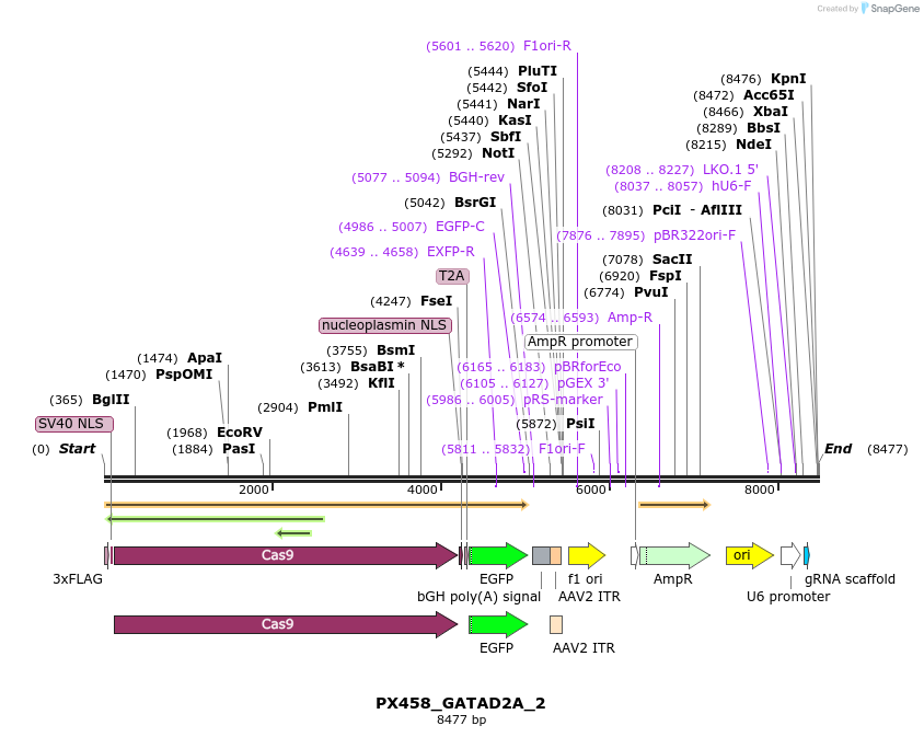 170874_map