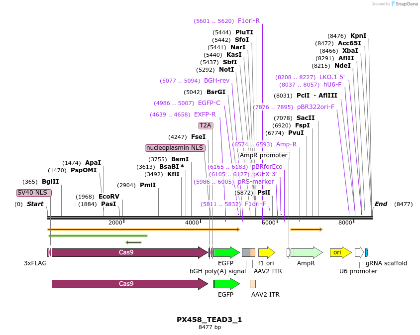 170881_map