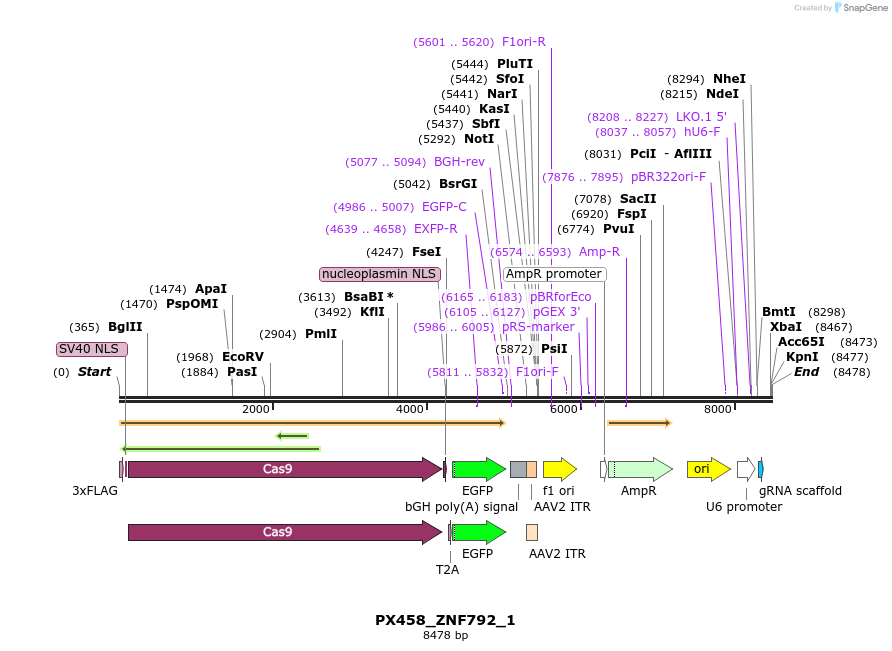 170887_map