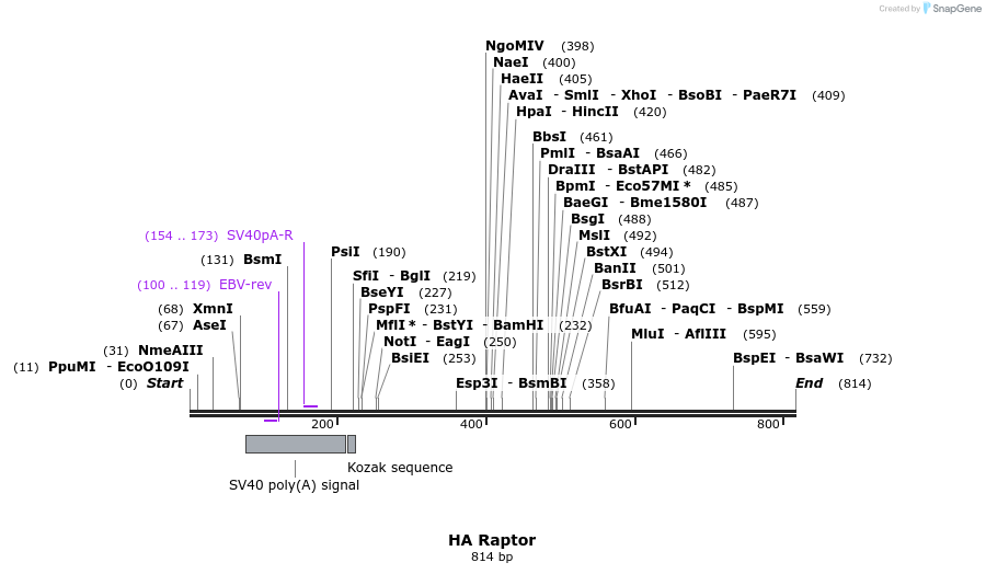 17089_map