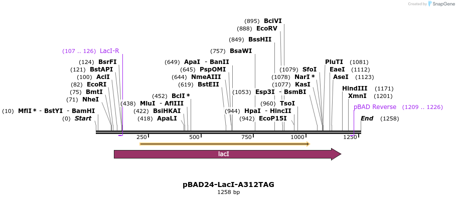 170891_map