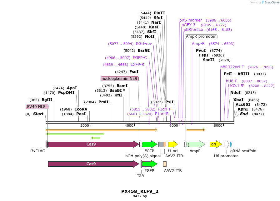 170898_map