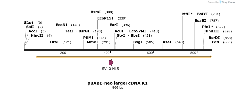 17091_map