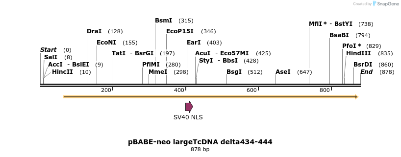 17092_map
