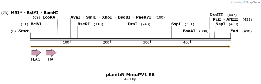 170934_map